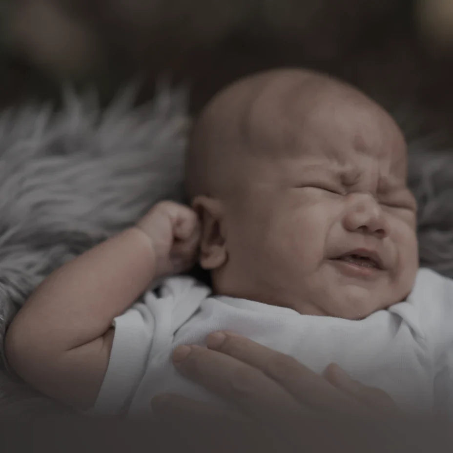Momcozy DE