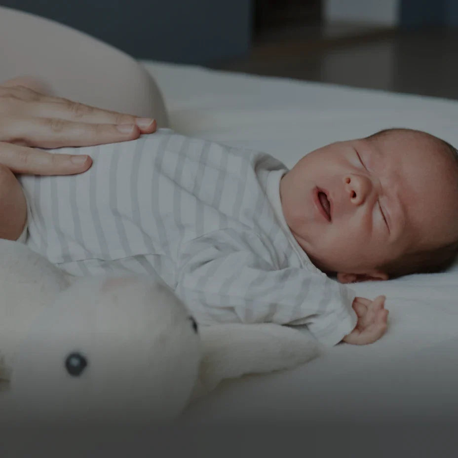 Momcozy DE