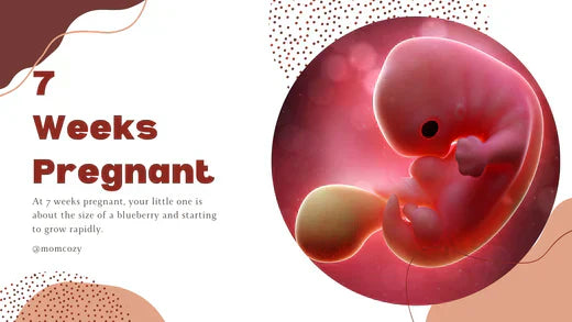 7week 7 Weeks Pregnant: What to Expect