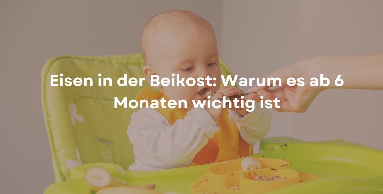 Eisen in der Beikost: Warum es ab 6 Monaten wichtig ist