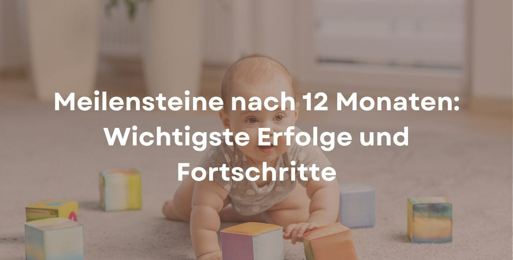 Meilensteine nach 12 Monaten: Wichtigste Erfolge und Fortschritte