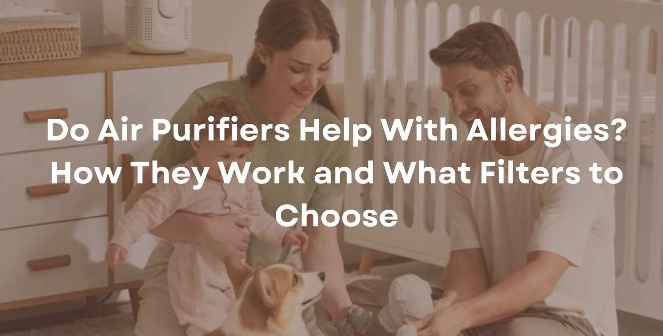 Do Air Purifiers Help With Allergies? How They Work and What Filters to Choose