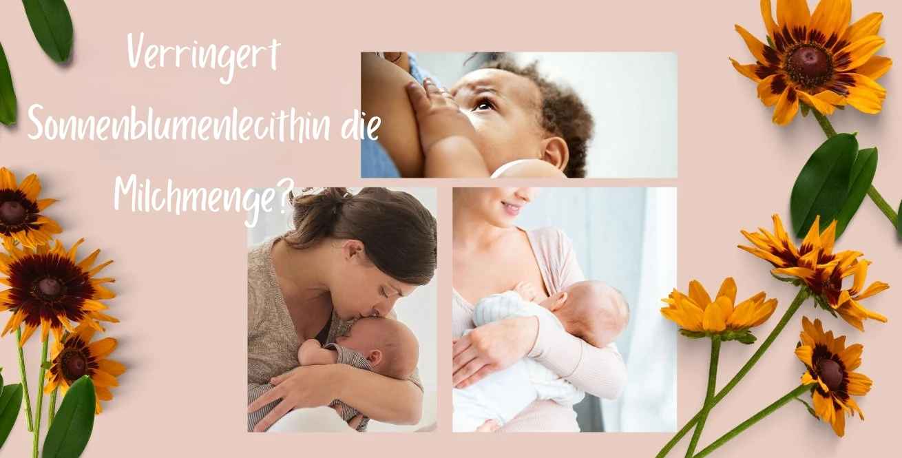 Verringert Sonnenblumenlecithin die Milchmenge?