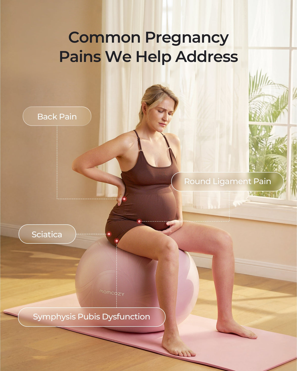 BirthEase Pregnancy Ball  Set— Birthing Ball